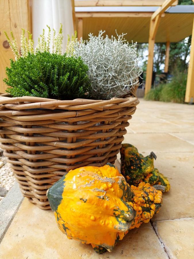 Villa Quality Wellness Dozmat Bagian luar foto