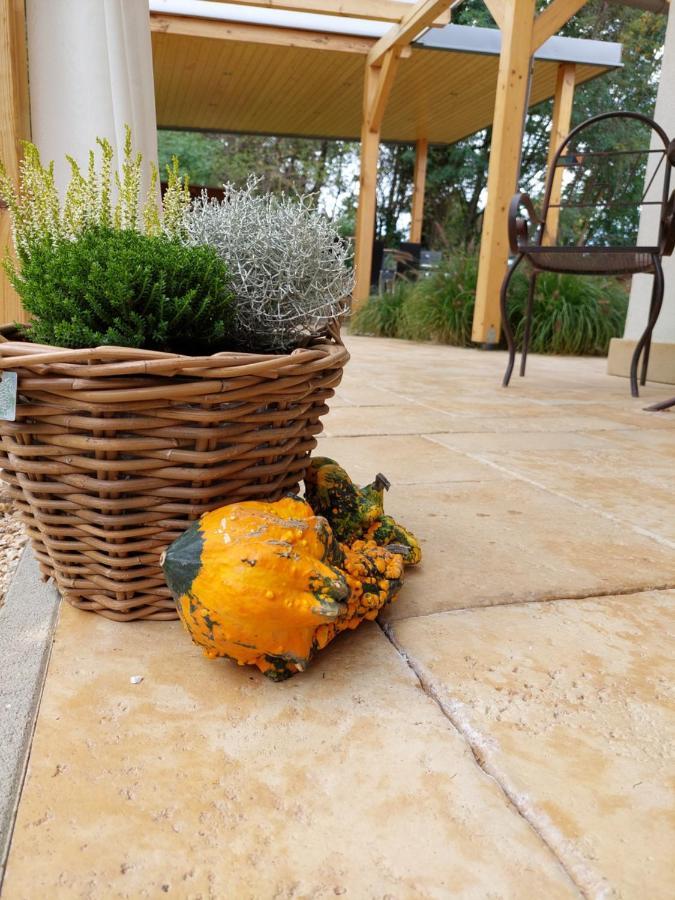 Villa Quality Wellness Dozmat Bagian luar foto